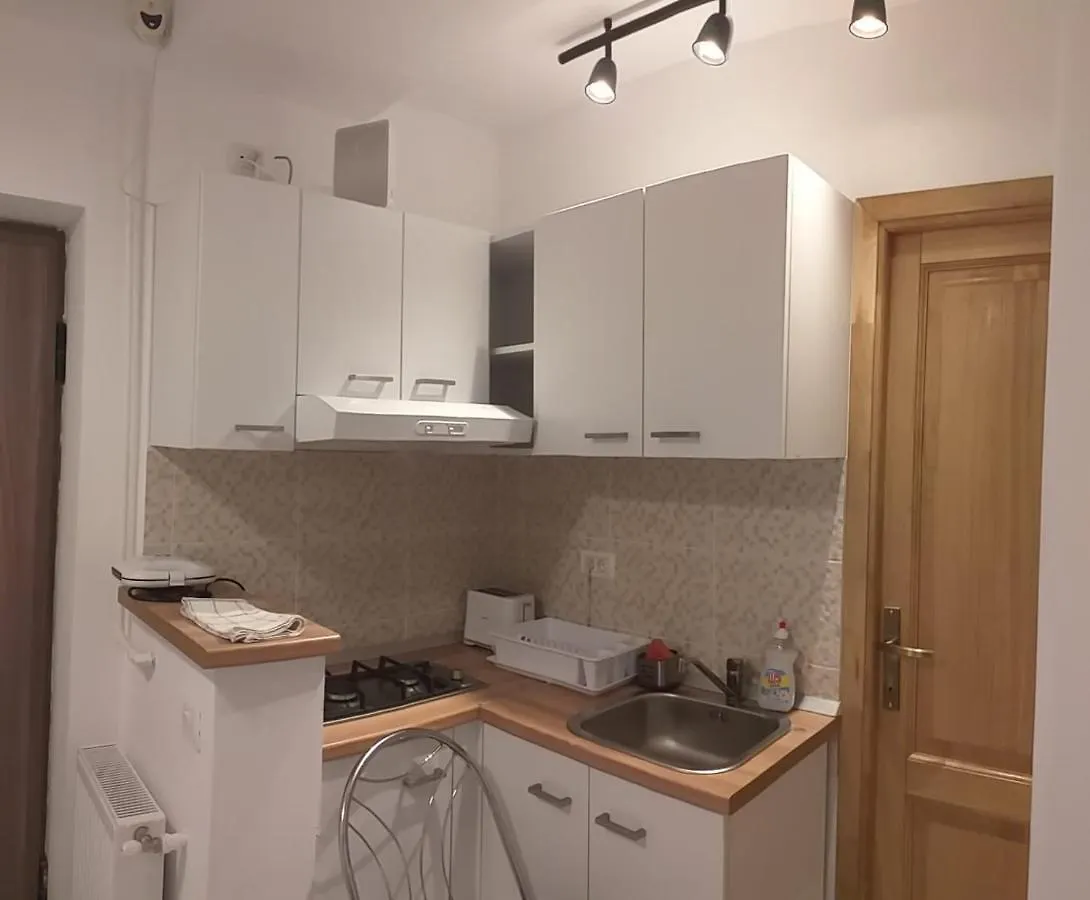 Nice Studio In Old Town 布加勒斯特 罗马尼亚